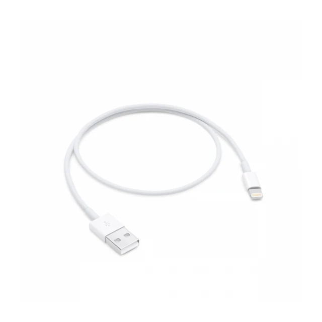 Apple Lightning to USB Cable (0.5 m)