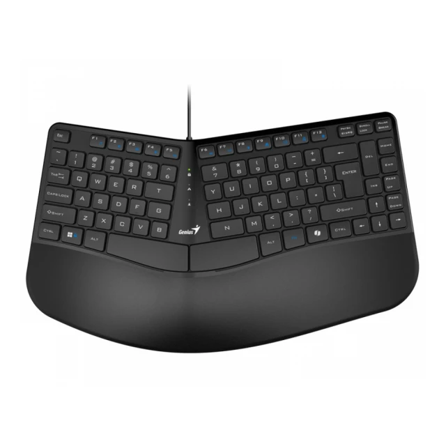 GENIUS Ergo KB-700 USB US crna tastatura 