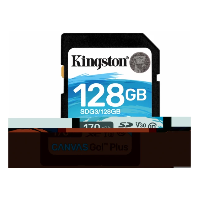 Memorije kartice KINGSTON SDG3/128GB/SD/128GB/Class 10/170MB/s-70MB/s