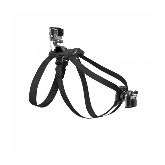 Nosač za pse GOPRO Fetch (Dog Harness)