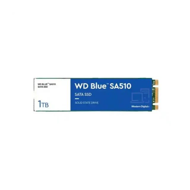 SSD M.2 1 TB WD Blue WDS100T3B0B-00AXS0