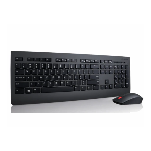 Tastatura+miš LENOVO Professional bežični set/4X30H56796/US/crna