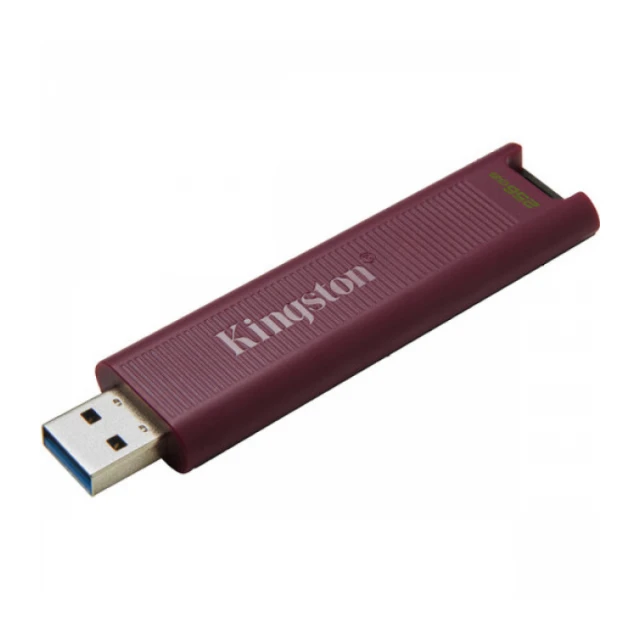 USB Flash Kingston 256GB DataTraveler USB3.2, DTMAXA/256GB